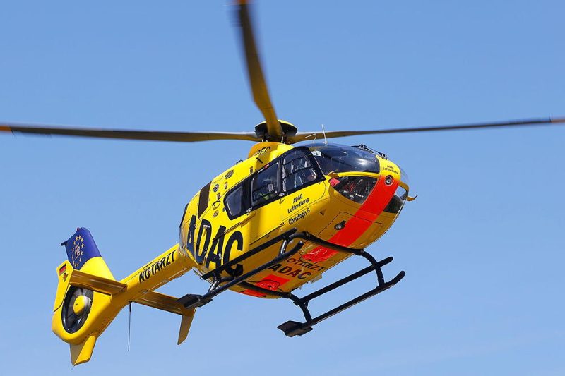 Hunde greifen Pferd an – Reiterin schwer verletzt