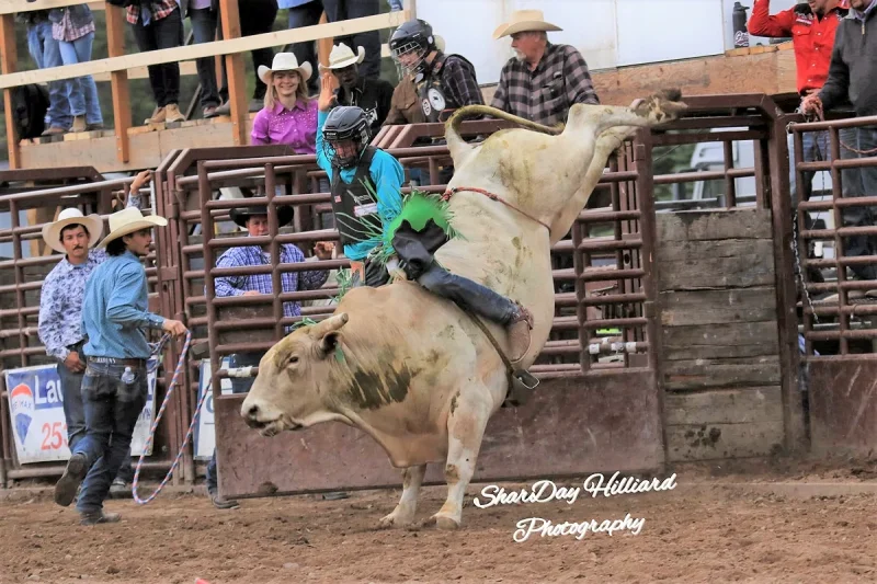 In den Herbstferien: Springen, hüpfen oder Bullriding
