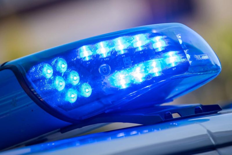 Polizei fasst zwei Diebe nach Verfolgungsjagd
